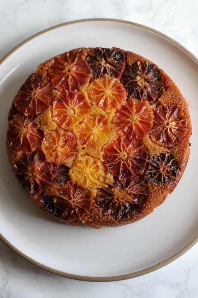 Orange Polenta Cake - Ottolenghi's orange polenta cake is incredibly delicious and easy to make. Definitely a crowd favorite. It's also a drop dead gorgeous cake. | cicleofeaters.com