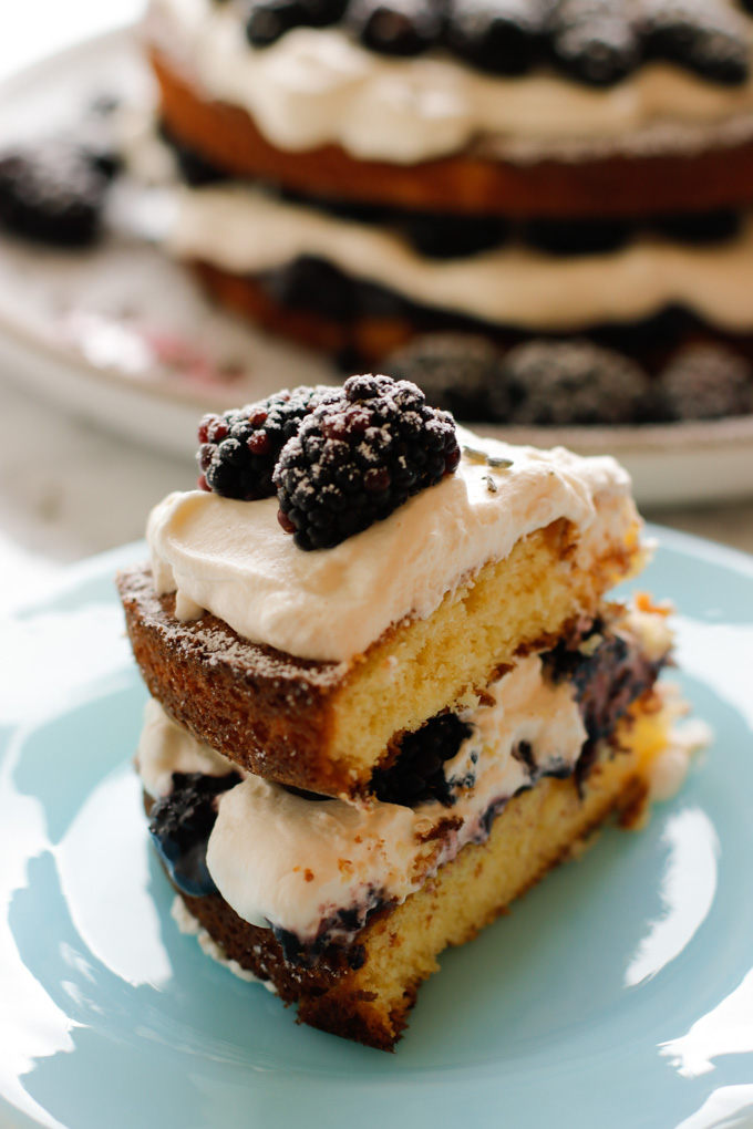 Victoria Sponge Cake with Blackberries and Lavender Cream - This Victoria sponge cake takes the traditional sponge cake to the next level. Talk about a stunning dessert. | circleofeaters.com