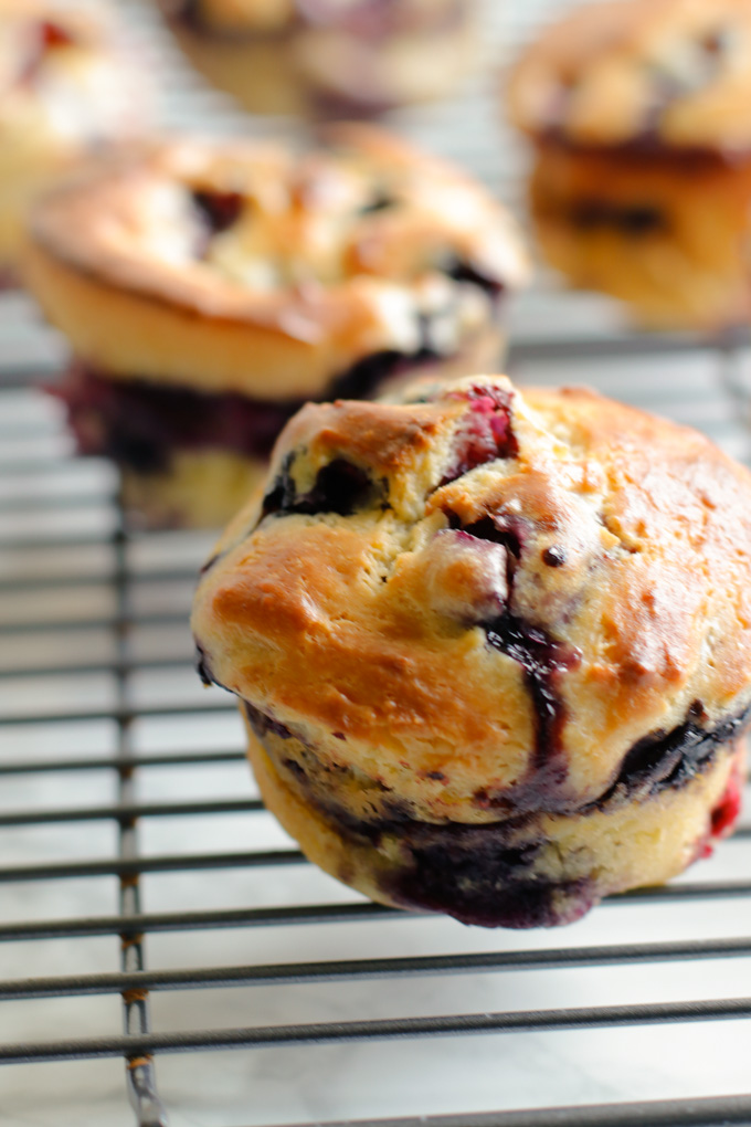 Super Moist Blueberry Sour Cream Muffins - Fast and easy blueberry muffin recipe that's bursting with blueberries and so moist! | circleofeaters.com