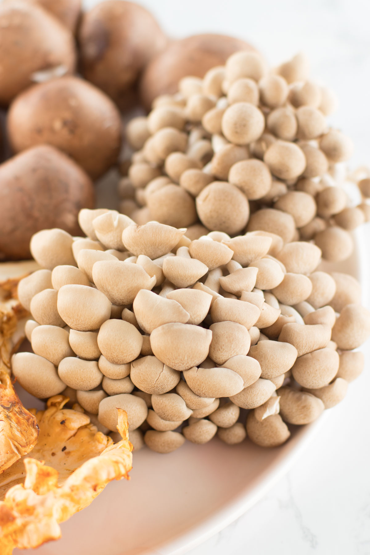 Creamy Mushroom Chicken with Cashew Cream